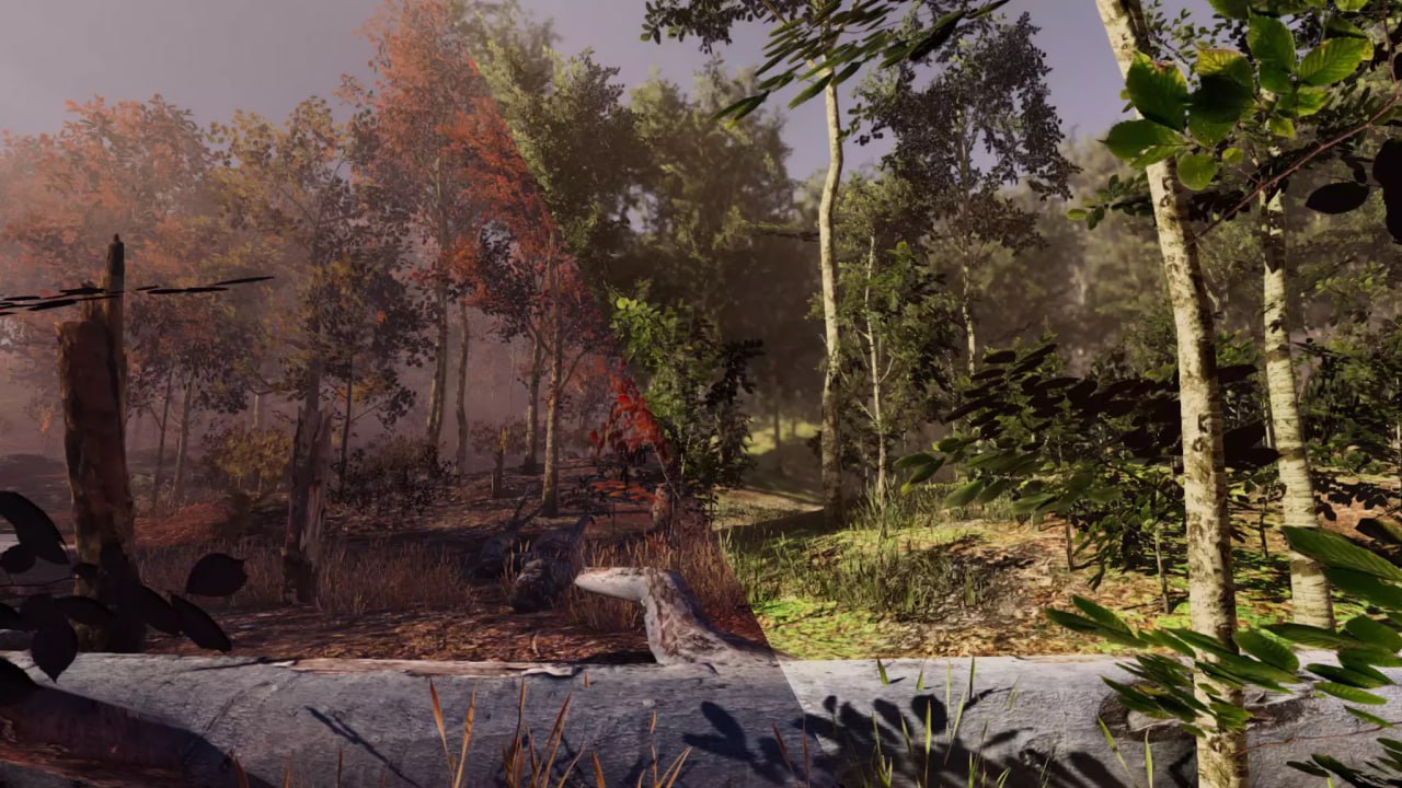 Seasonal Forest📱 - изображение 2